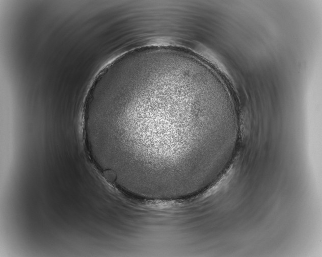 X0000098070831200804110921