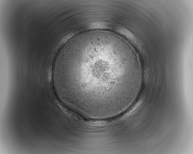 X0000098070833200804110921