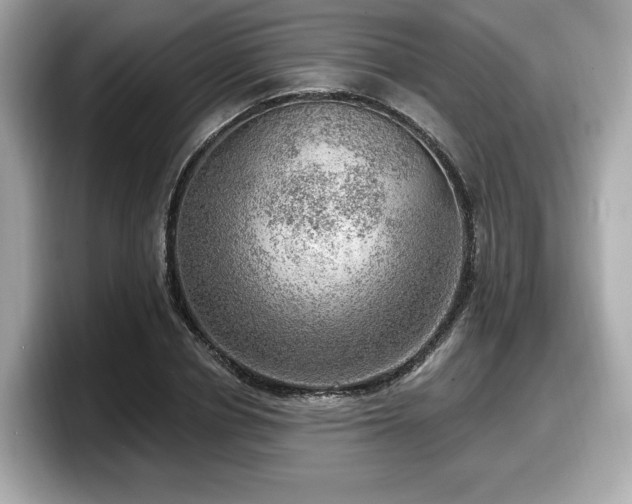 X0000098070834200804110921