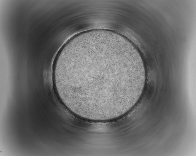 X0000098070836200804110921