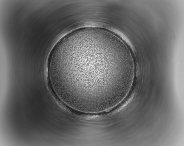 X0000098070837200804110921