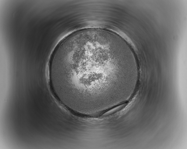 X0000098070838200804110921