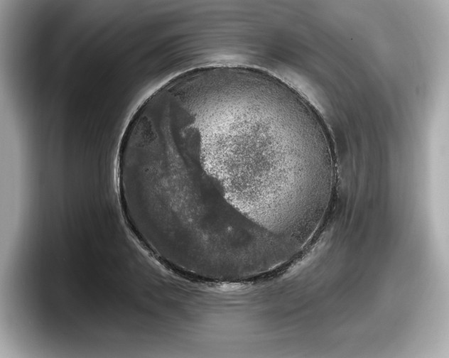 X0000098070839200804110921