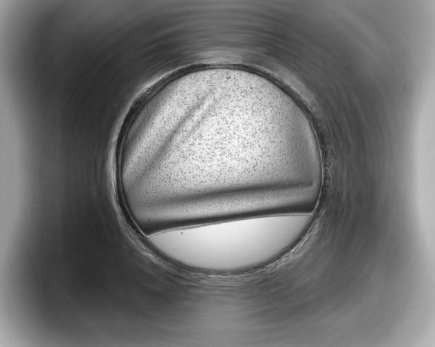 X0000098070840200804110921