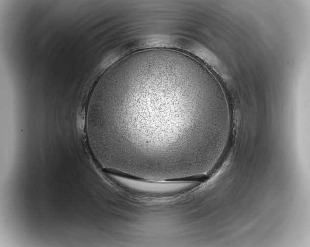 X0000098070841200804110921