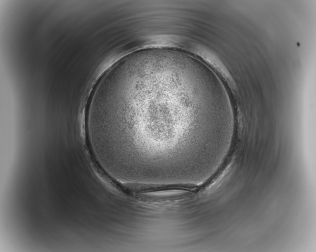 X0000098070842200804110921