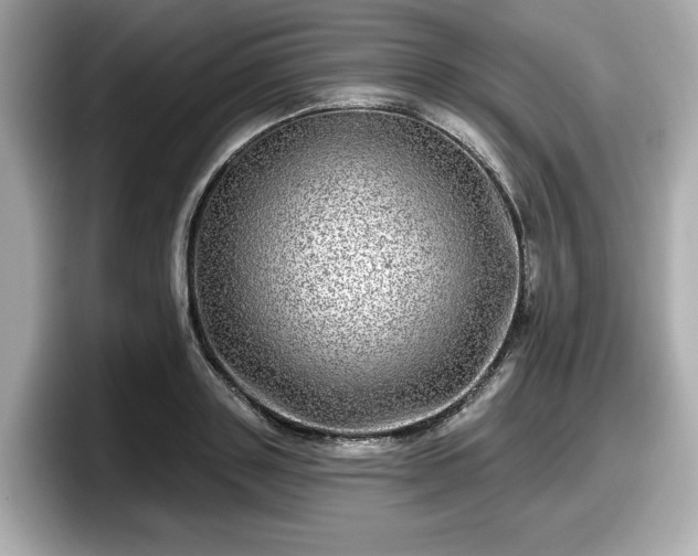 X0000098070843200804110921