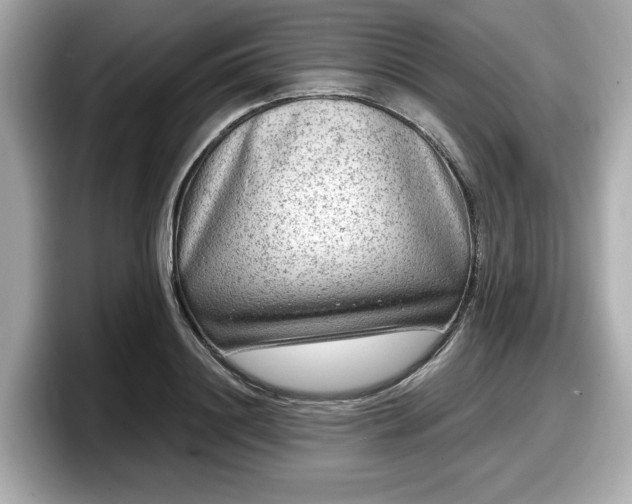 X0000098070844200804110921