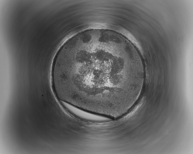 X0000098070845200804110921