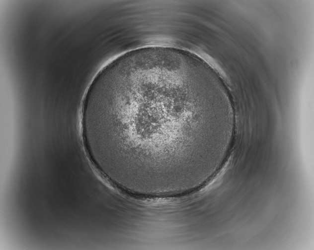 X0000098070846200804110921