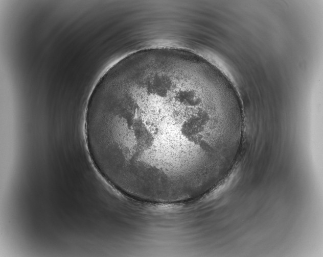 X0000098070847200804110921