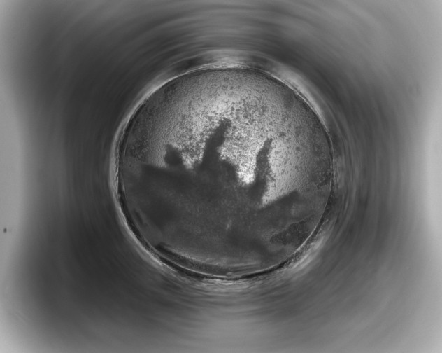 X0000098070851200804110921