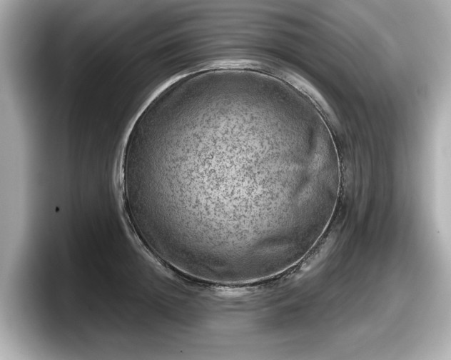 X0000098070852200804110921