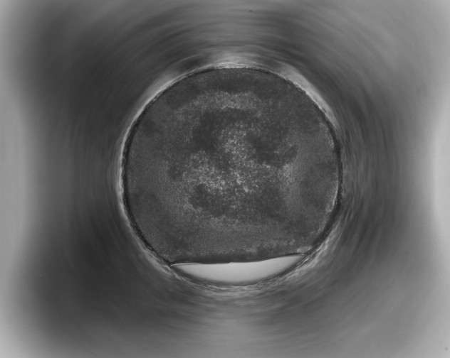 X0000098070853200804110921