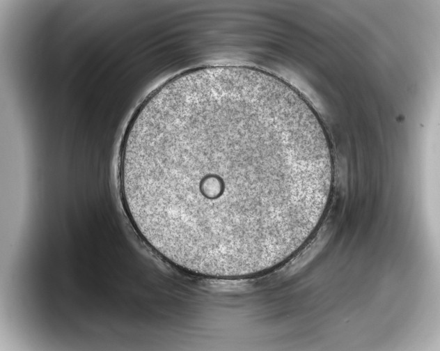 X0000098070856200804110921