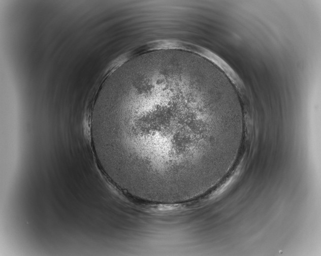 X0000098070857200804110921