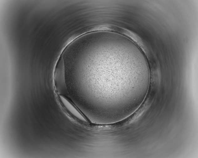 X0000098070858200804110921