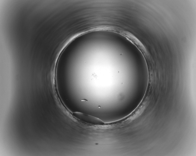 X0000098070860200804110921