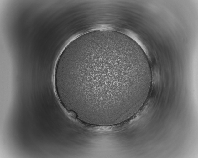 X0000098070861200804110921