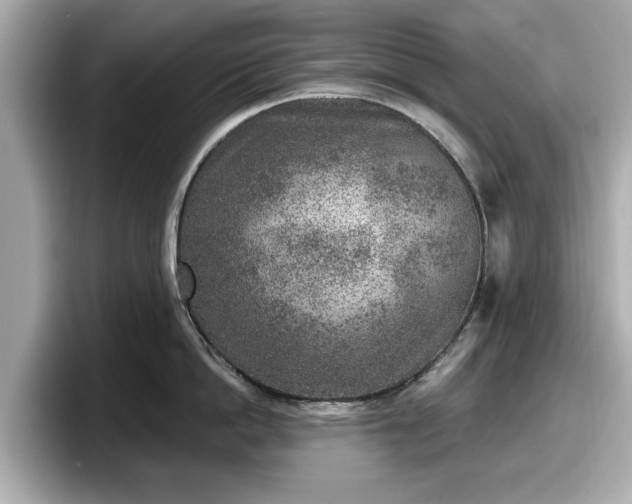 X0000098070862200804110921