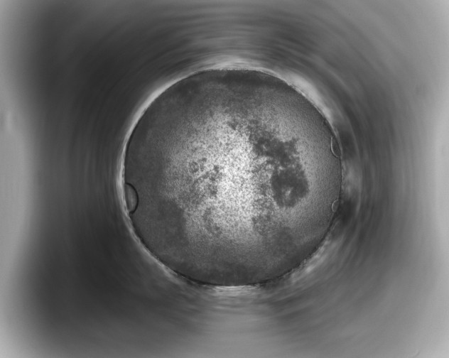 X0000098070863200804110921