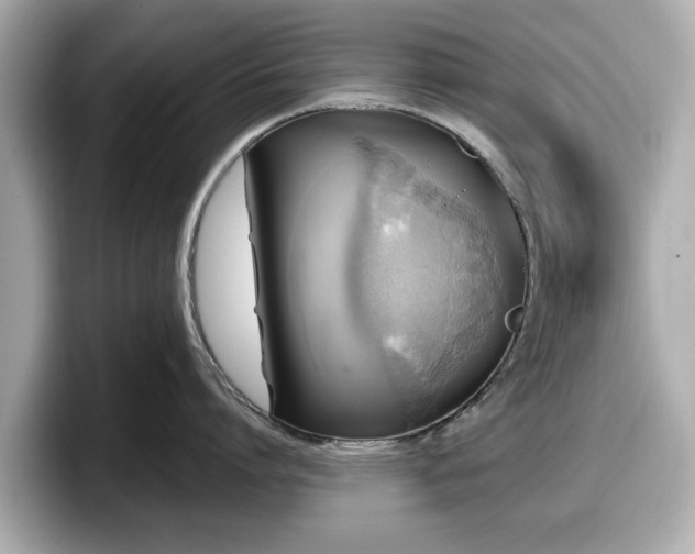 X0000098070864200804110921