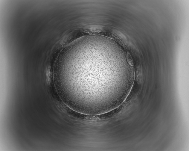 X0000098070866200804110920