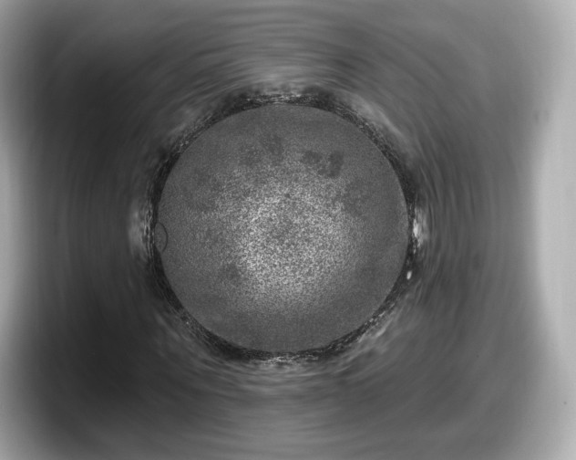 X0000098070867200804110920