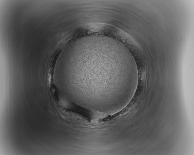 X0000098070868200804110920