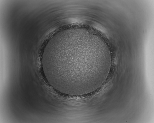 X0000098070869200804110920