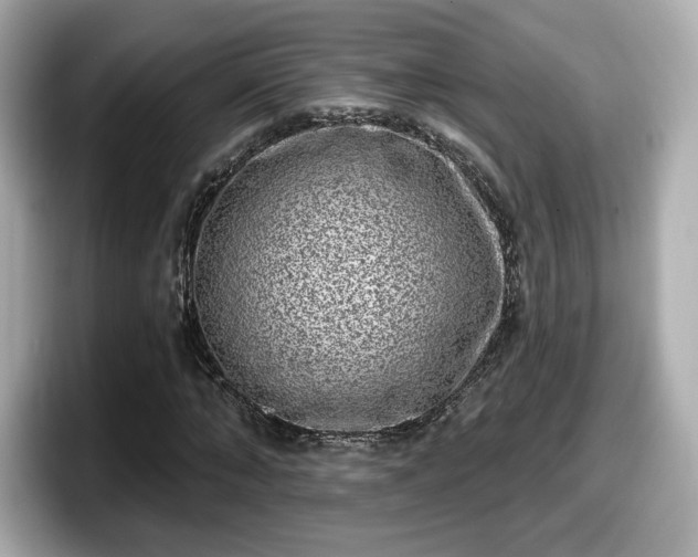 X0000098070870200804110920