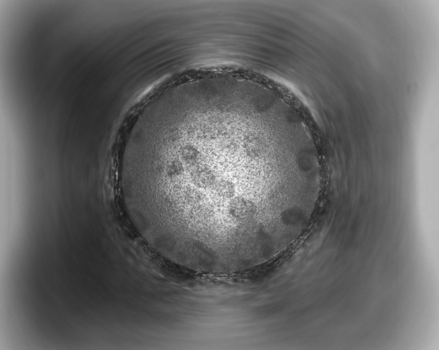 X0000098070871200804110920