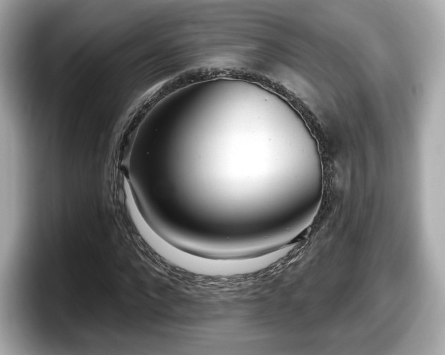 X0000098070872200804110920