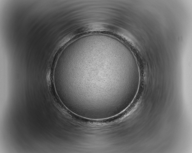 X0000098070873200804110920