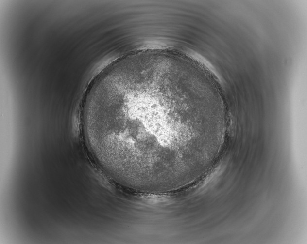 X0000098070874200804110920