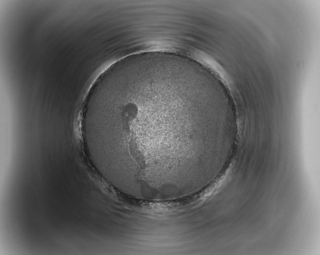 X0000098070875200804110920