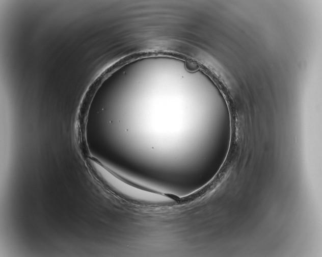 X0000098070876200804110920