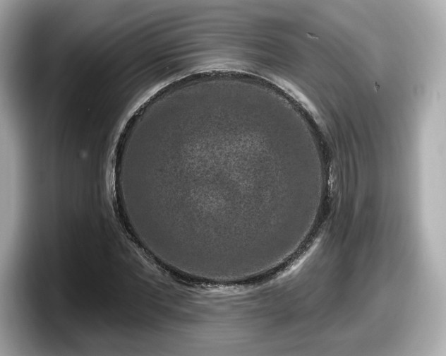 X0000098070877200804110920