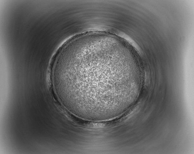 X0000098070878200804110920