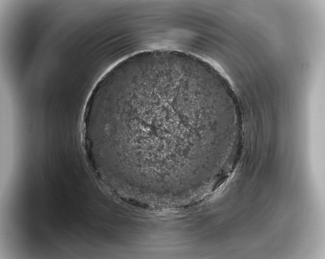 X0000098070879200804110920