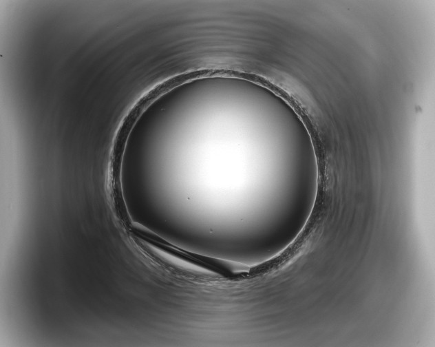 X0000098070880200804110920