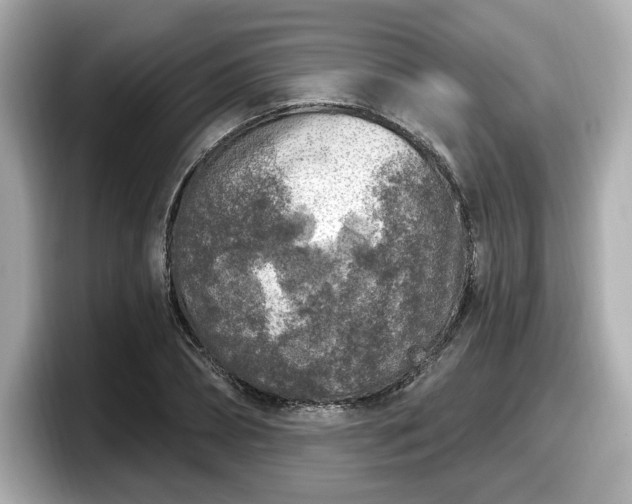 X0000098070882200804110920