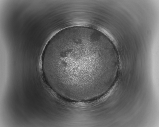 X0000098070883200804110920