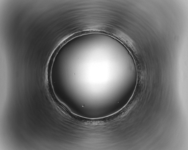 X0000098070884200804110920