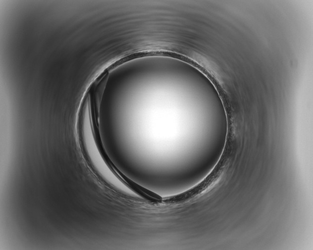 X0000098070885200804110920