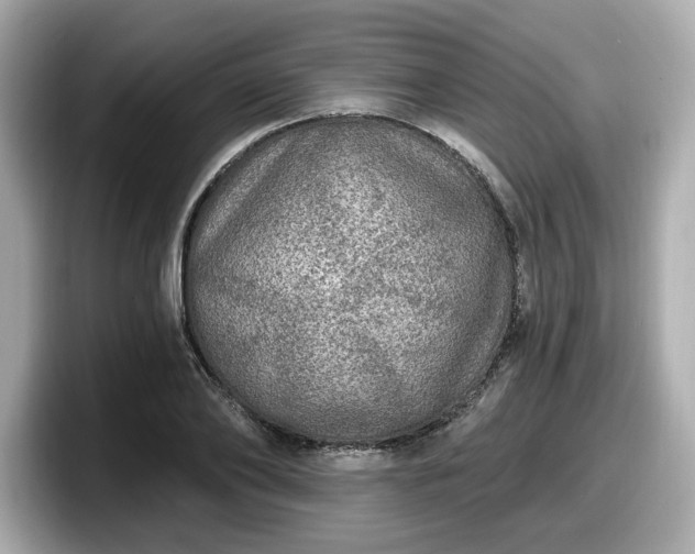 X0000098070886200804110920