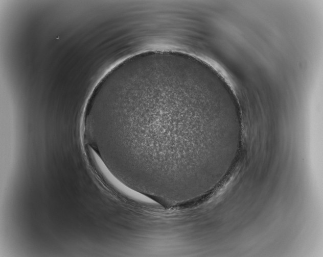 X0000098070887200804110920