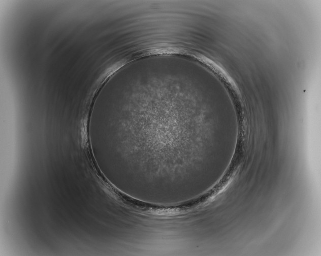 X0000098070889200804110920