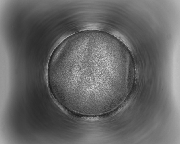 X0000098070890200804110920