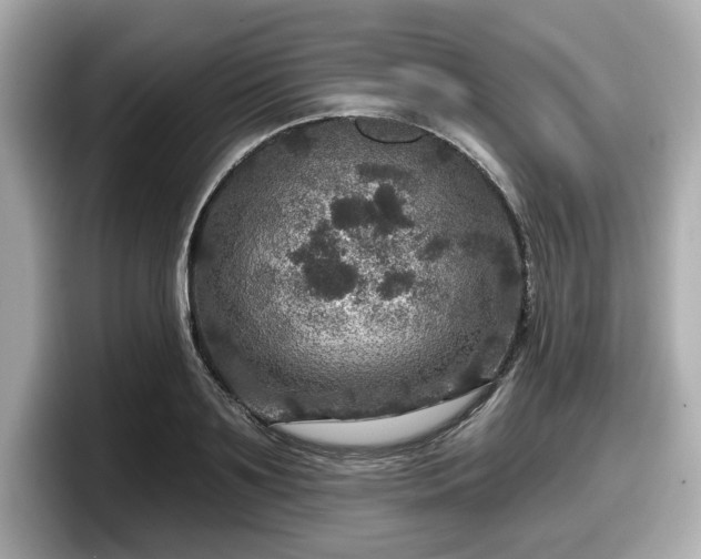 X0000098070891200804110920